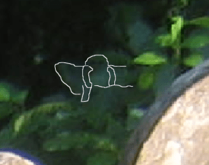 Fairy Outline